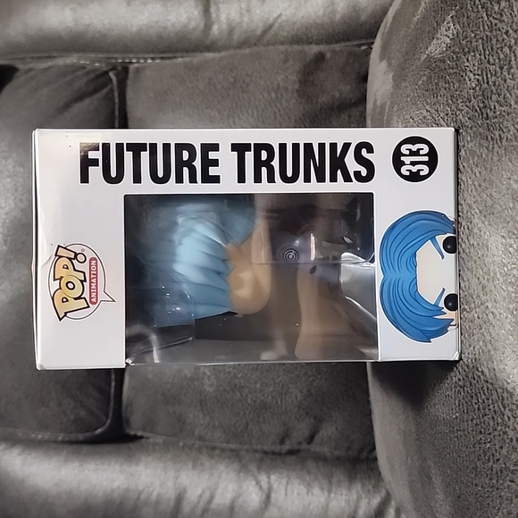 Future Trunks - Picture 2 of 4